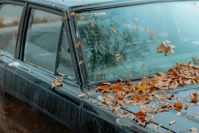 Véhicule épave hors d'usage immobilisé sur une place et recouvert de feuilles